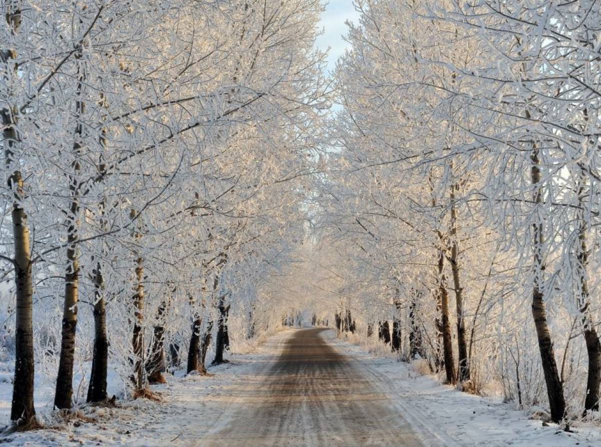 Racconto di fine inverno. Per ritrovare, seppure tiepido e timido, il sole nella propria esistenza